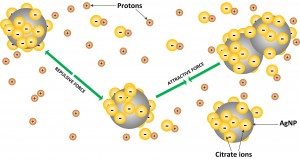 CCL-Diagram_Mukherjee_NP-Forces_2014.02.21