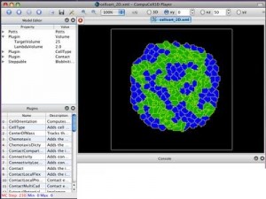 CompuCell3D